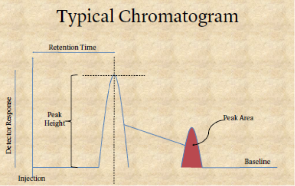 typicalchromatogram